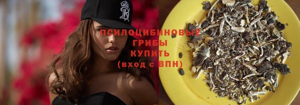 прущие крисы Алзамай