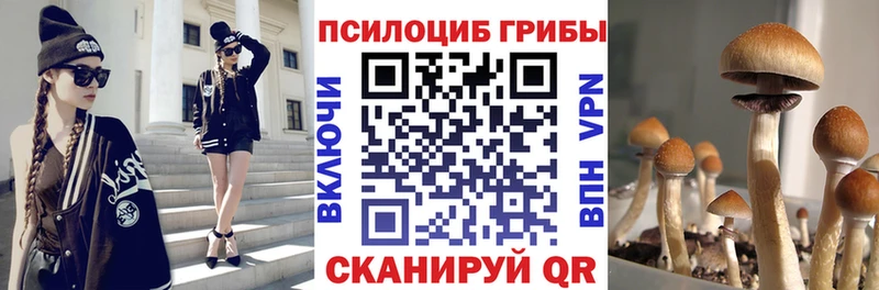 где найти наркотики  Сосновоборск  МЕГА зеркало  Псилоцибиновые грибы Psilocybine cubensis 